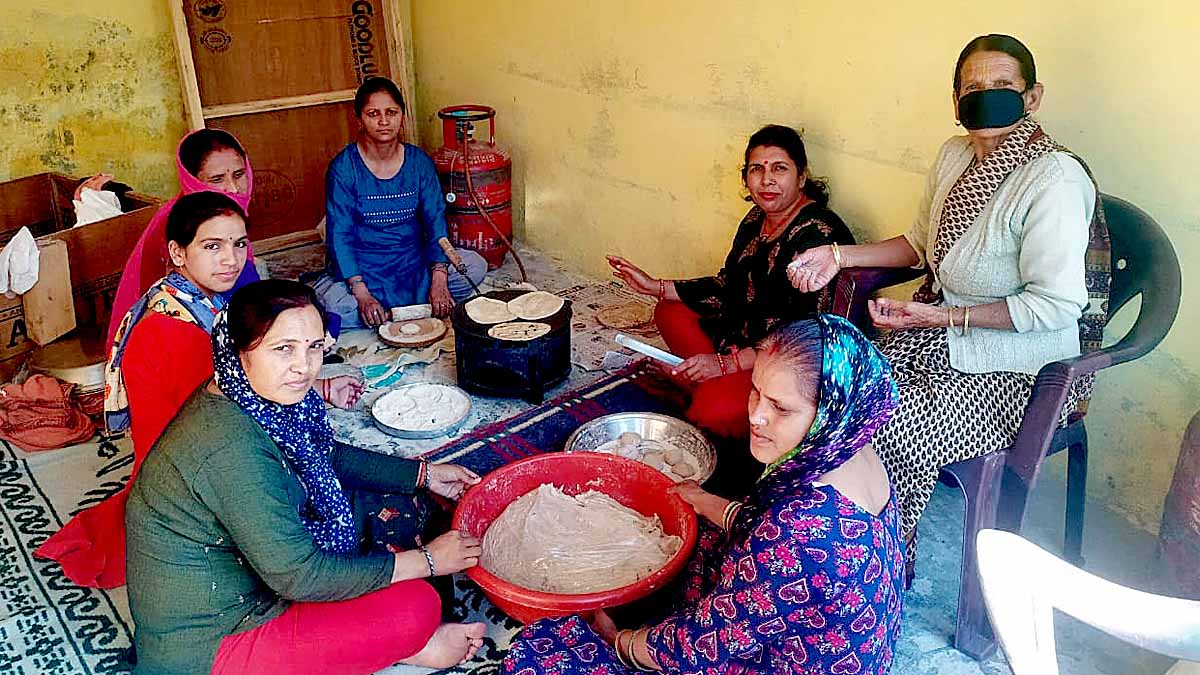 सराहनीय पहल: आवारा बेजुबान जानवरों को हर रोज रोटी व चारा बांट रहे ‘जय हो ग्रुप’ के युवा